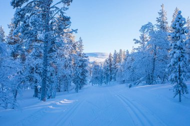 Winter landscape in Pallas Yllastunturi National Park, Lapland, northern Finland.