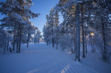 Pallas Yllastunturi Ulusal Parkı, Laponya, Finlandiya 'da kış manzarası