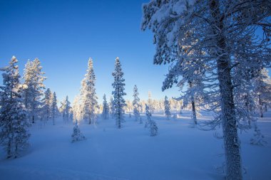 Winter landscape in Pallas Yllastunturi National Park, Lapland, northern Finland.
