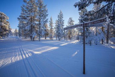 Pallas Yllastunturi Milli Parkı, Laponya, Finlandiya 'da kayak gezisi