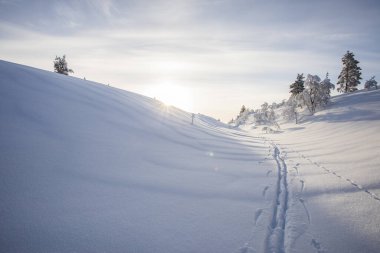 Winter landscape in Pallas Yllastunturi National Park, Lapland, northern Finland.