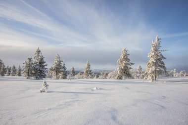 Pallas Yllastunturi Ulusal Parkı, Laponya, Finlandiya 'da kış manzarası
