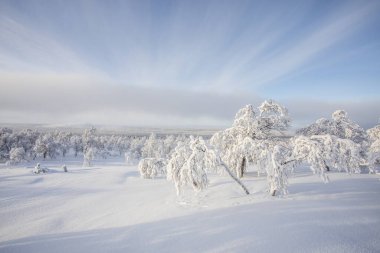 Winter landscape in Pallas Yllastunturi National Park, Lapland, northern Finland.