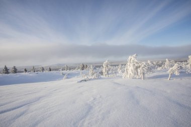 Winter landscape in Pallas Yllastunturi National Park, Lapland, northern Finland.