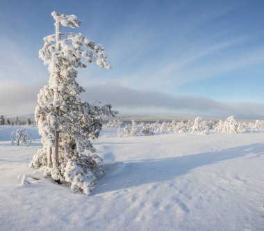 Winter landscape in Pallas Yllastunturi National Park, Lapland, northern Finland.