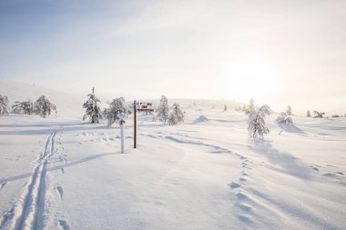 Pallas Yllastunturi Milli Parkı, Laponya, Finlandiya 'da kayak gezisi