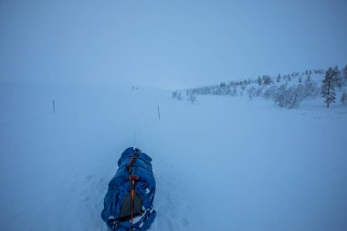 Pallas Yllastunturi Milli Parkı, Laponya, Finlandiya 'da kayak gezisi