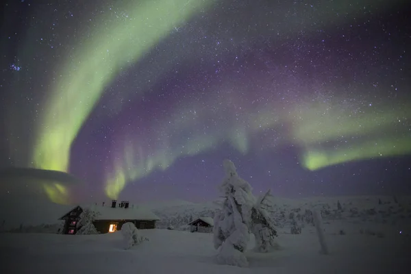 Northern Lights Pallas Yllastunturi National Park Lapland Northern Finland — стоковое фото