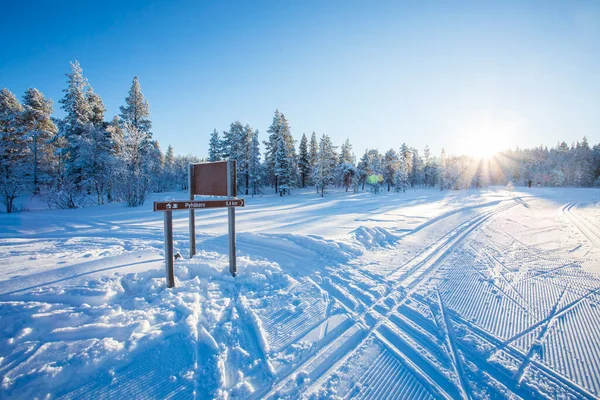 Χιονοδρομική Αποστολή Στο Εθνικό Πάρκο Pallas Yllastunturi Λαπωνία Φινλανδία — Φωτογραφία Αρχείου