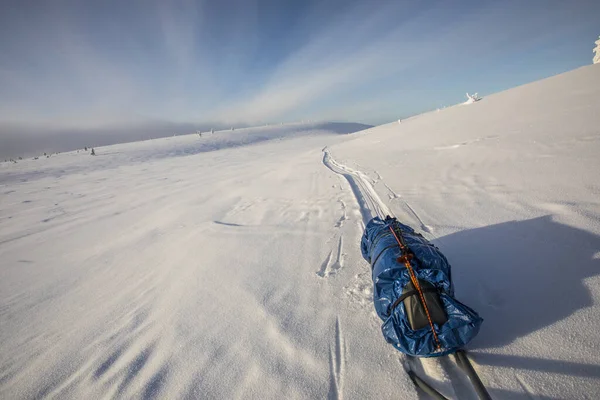 Expédition Ski Dans Parc National Pallas Yllastunturi Laponie Finlande — Photo