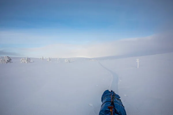 Expédition Ski Dans Parc National Pallas Yllastunturi Laponie Finlande — Photo