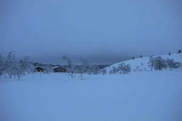 Ski Expeditie Pallas Yllastunturi National Park Lapland Finland — Stockfoto