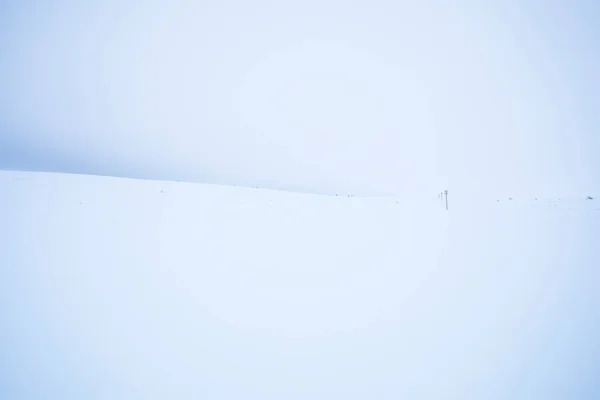Paisaje Invernal Parque Nacional Pallas Yllastunturi Laponia Finlandia —  Fotos de Stock