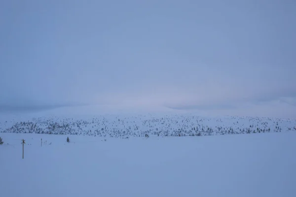 Paisaje Invernal Parque Nacional Pallas Yllastunturi Laponia Finlandia — Foto de Stock