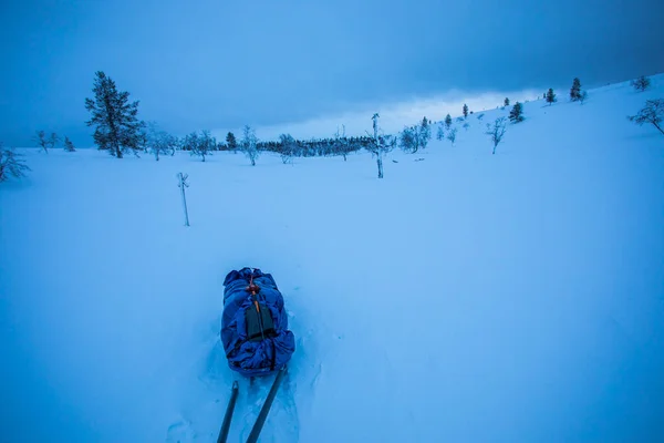 Expedição Esqui Parque Nacional Pallas Yllastunturi Lapônia Finlândia — Fotografia de Stock