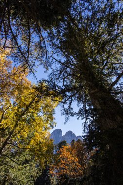 Sonbahar manzarası, Aiguestortes ve Sant Maurici Ulusal Parkı, Pireneler, İspanya