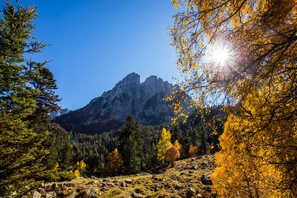 Sonbahar manzarası, Aiguestortes ve Sant Maurici Ulusal Parkı, Pireneler, İspanya