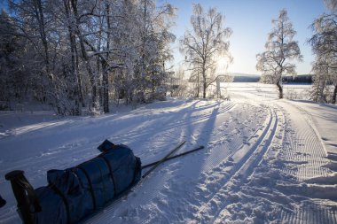 Ski expedition in Pallas Yllastunturi National Park, Lapland, northern Finland.