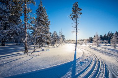 Winter landscape in Pallas Yllastunturi National Park, Lapland, northern Finland.