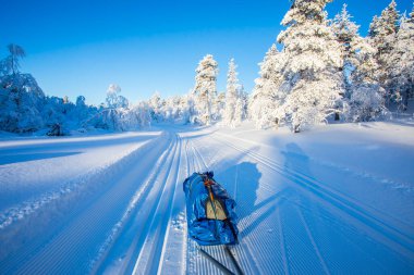 Pallas Yllastunturi Milli Parkı, Laponya, Finlandiya 'da kayak gezisi