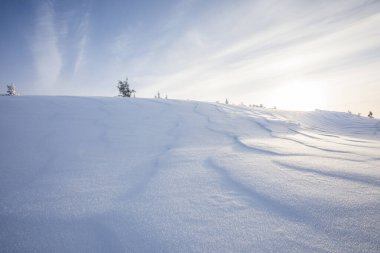Pallas Yllastunturi Ulusal Parkı, Laponya, Finlandiya 'da kış manzarası
