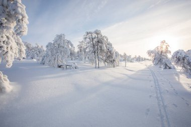 Winter landscape in Pallas Yllastunturi National Park, Lapland, northern Finland.