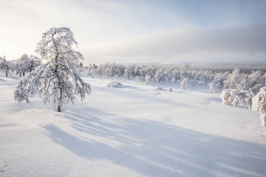 Winter landscape in Pallas Yllastunturi National Park, Lapland, northern Finland.