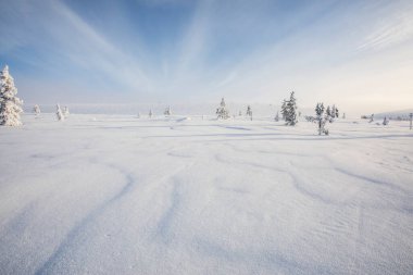 Winter landscape in Pallas Yllastunturi National Park, Lapland, northern Finland.