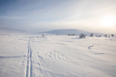 Pallas Yllastunturi Ulusal Parkı, Laponya, Finlandiya 'da kış manzarası
