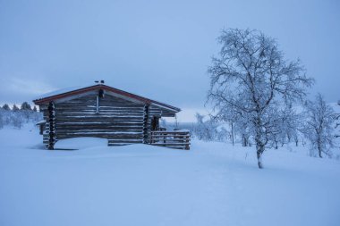 Ski expedition in Pallas Yllastunturi National Park, Lapland, northern Finland.