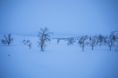 Winter landscape in Pallas Yllastunturi National Park, Lapland, Finland