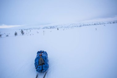 Pallas Yllastunturi Milli Parkı, Laponya, Finlandiya 'da kayak gezisi