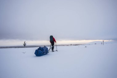 Pallas Yllastunturi Milli Parkı, Laponya, Finlandiya 'da kayak gezisi
