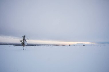 Winter landscape in Pallas Yllastunturi National Park, Lapland, northern Finland.