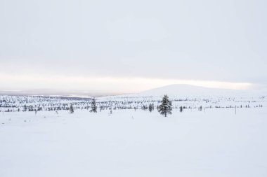 Winter landscape in Pallas Yllastunturi National Park, Lapland, Finland