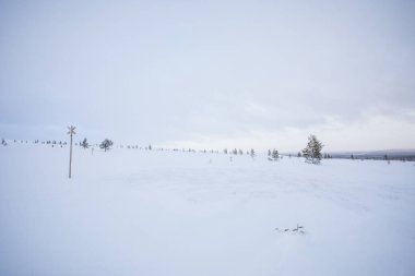 Pallas Yllastunturi Ulusal Parkı, Laponya, Finlandiya 'da kış manzarası