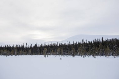 Winter landscape in Pallas Yllastunturi National Park, Lapland, northern Finland.