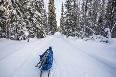 Ski expedition in Pallas Yllastunturi National Park, Lapland, northern Finland.
