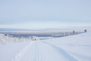 Winter landscape in Pallas Yllastunturi National Park, Lapland, northern Finland.