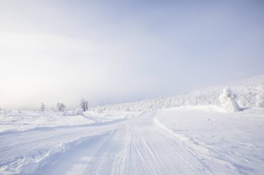 Winter landscape in Pallas Yllastunturi National Park, Lapland, northern Finland.