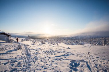 Winter landscape in Pallas Yllastunturi National Park, Lapland, Finland