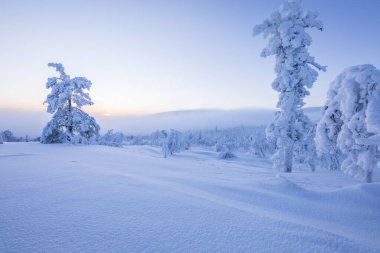 Winter landscape in Pallas Yllastunturi National Park, Lapland, northern Finland.