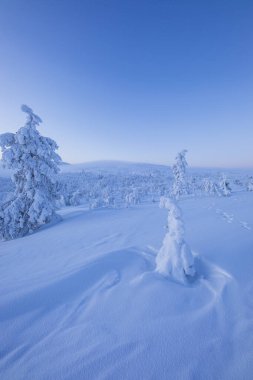 Winter landscape in Pallas Yllastunturi National Park, Lapland, northern Finland.