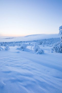 Pallas Yllastunturi Ulusal Parkı, Laponya, Finlandiya 'da kış manzarası