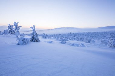 Winter landscape in Pallas Yllastunturi National Park, Lapland, northern Finland.