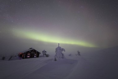 Northern lights in Pallas Yllastunturi National Park, Lapland, northern Finland