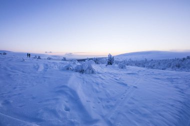 Winter landscape in Pallas Yllastunturi National Park, Lapland, northern Finland.