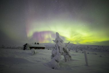 Northern lights in Pallas Yllastunturi National Park, Lapland, northern Finland