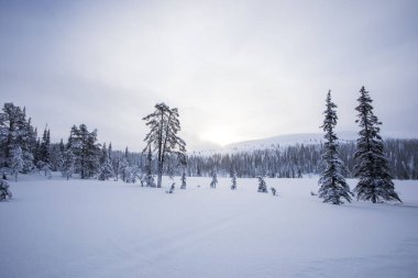 Winter landscape in Pallas Yllastunturi National Park, Lapland, northern Finland.