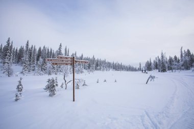 Ski expedition in Pallas Yllastunturi National Park, Lapland, northern Finland.